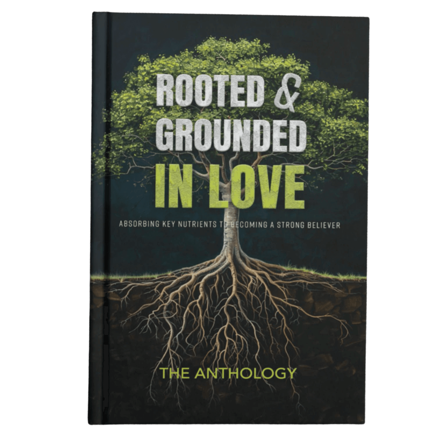 Rooted & Grounded in Love — book cover